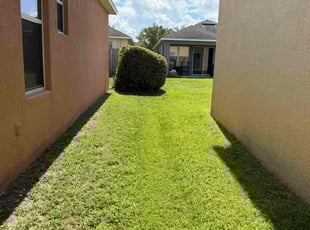 Bush Trimming by William Chavers for Corey F. in Ruskin, FL
