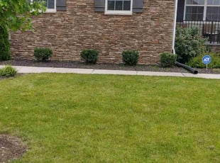 Bush Trimming by Joe Dortch for Ernest E. in Henrico, VA