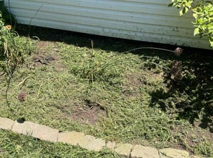Weeding by Matthew Garcia for Kelly T. in Independence, MO