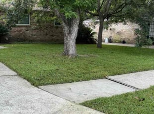 Daphne E.'s Lawn Care service result