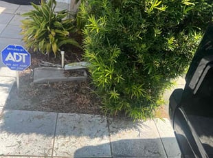 Weeding by William Harvey for Durante M. in Davenport, FL
