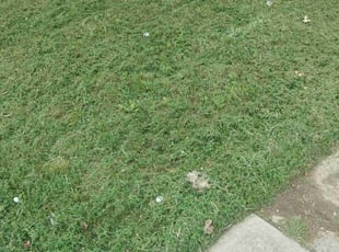 Cleanups by Jeffery Richardson for John P. in Cincinnati, OH
