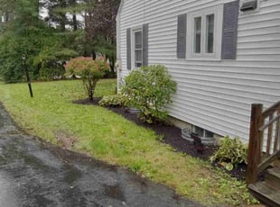 Bush Trimming by Savin Ungaro for Estazzia . in Windsor, CT