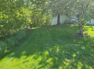 Vicki B.'s Yard Cutting service result