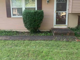 Bush Trimming by B.J. Schuetz for Jan T. in Columbus, OH