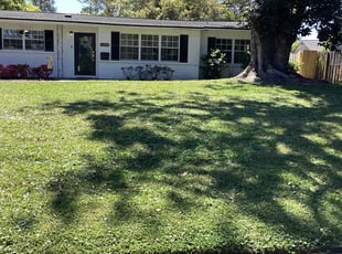 Anthony P.'s Lawn Service service result