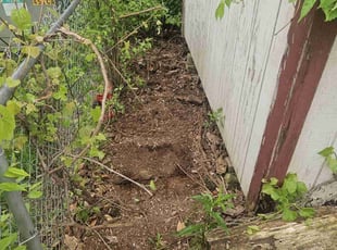 Cleanups by James Cole for Ann T. in Indianapolis, IN