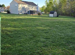 CHARLOTTE D.'s Lawn Care service result