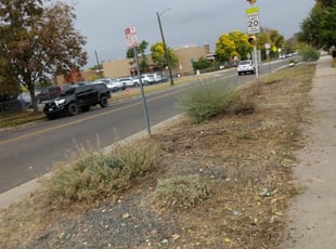 Cleanups by Alex Ruiz for Jill P. in Denver, CO