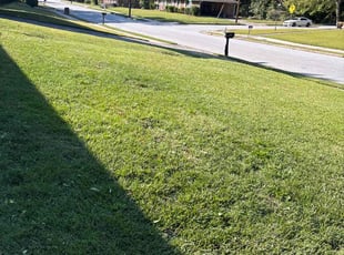 John C.'s Grass Cutting service result