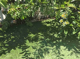 David F.'s Lawn Service service result