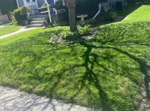 Kay m.'s Lawn Maintenance service result