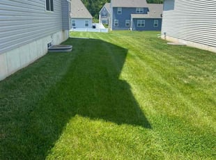Sonya J.'s Lawn Care service result