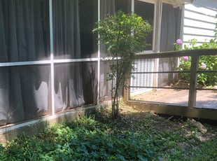 Bush Trimming by Kellie Arnold for Kate B. in Hapeville, GA