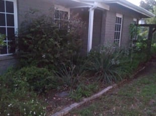 Bush Trimming by Adolfo Herrera for Joel L. in San Antonio, TX