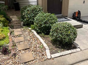 Bush Trimming by Nicole Ross for Andre M. in Houston, TX