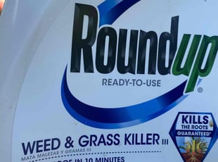 Weeding by Jason Kersey for Chris B. in Huntersville, NC