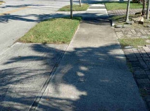 Dino A.'s Lawn Mowing service result