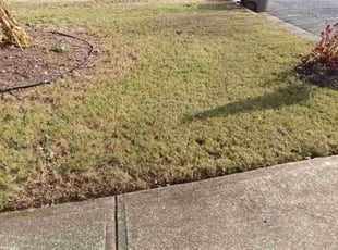 Leaf Removal by Enrique Juarez for Gordon M. in Roswell, GA