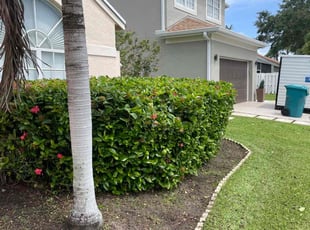 Bush Trimming by Charles Walton for Zan R. in Boynton Beach, FL