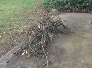 Leaf Removal by Brandon Underwood for Mona W. in Baton Rouge, LA