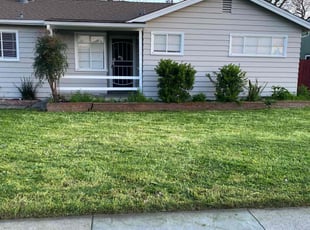 Veronica L.'s Grass Cutting service result