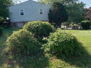 Bush Trimming by roger kumler for Grover C. in Harrisburg, PA
