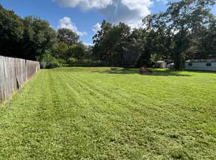 Stella G.'s Grass Cutting service result