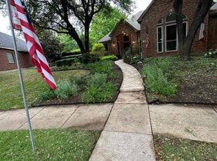 Leaf Removal by Abel Baeza for Derek K. in Allen, TX