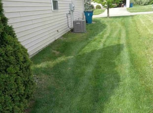 Rebecca C.'s Yard Cutting service result