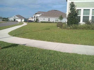 Wayne S.'s Lawn Mowing service result