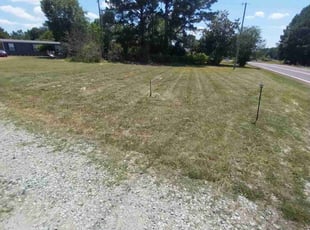Barbara W.'s Yard Cutting service result