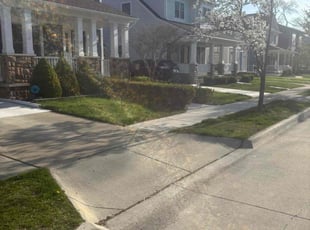 Kathy H.'s Lawn Care service result