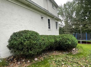 Bush Trimming by Gadiel Sandrez for Bashar A. in Eden Prairie, MN