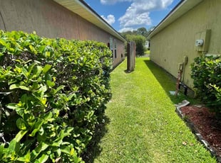Brandi A.'s Lawn Mowing service result