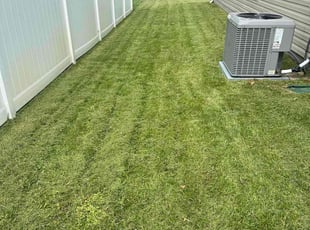 Sebastian F.'s Lawn Care service result