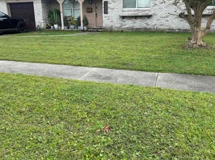 Timothy W.'s Lawn Maintenance service result