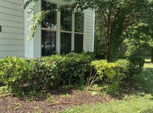 Bush Trimming by Tranae Freeman for Queenie L. in Wake Forest, NC