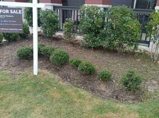 Bush Trimming by Efrain Perez for Bart H. in Fulshear, TX