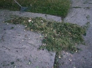 Leaf Removal by Kerwin Mott for Everley P. in Parkville, MD