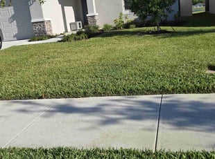Vijay G.'s Grass Cutting service result