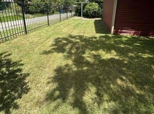 Connie K.'s Lawn Service service result