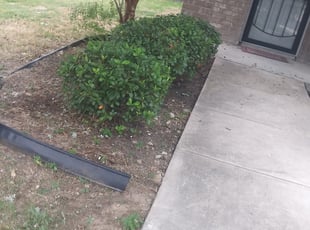 Bush Trimming by Tyler Smith for Belinda B. in Converse, TX