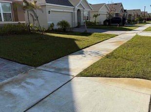 Molinna P.'s Grass Cutting service result