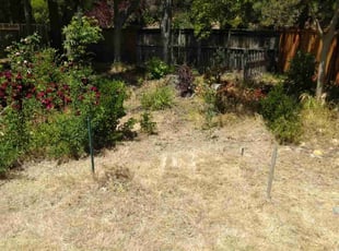 Leaf Removal by Scott Reeves for Gary T. in Fairfield, CA