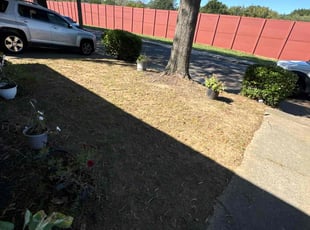 Cleanups by Terrance Flowers for Elizabeth C. in Charlotte, NC