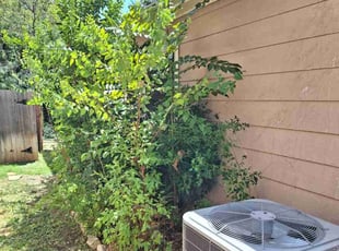 Bush Trimming by Derek Schoenfeld for Elias B. in San Antonio, TX