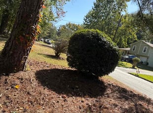 Bush Trimming by Carlton Gregory for Kathy Y. in Riverdale, GA
