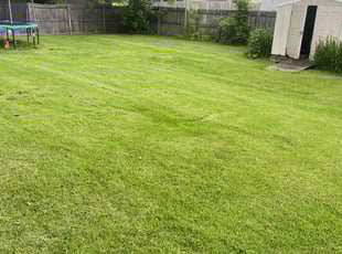 Chris L.'s Lawn Mowing service result