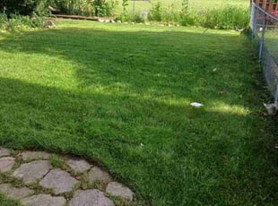 Launa J.'s Lawn Maintenance service result